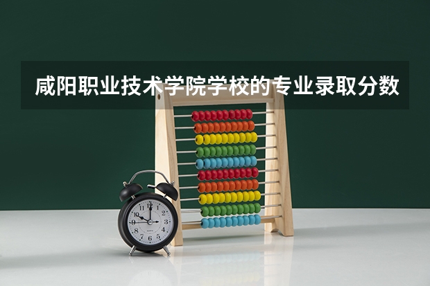 咸阳职业技术学院学校的专业录取分数高吗