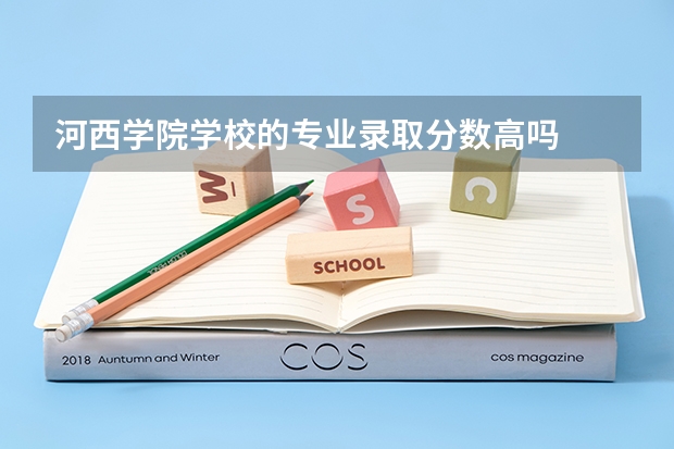 河西学院学校的专业录取分数高吗