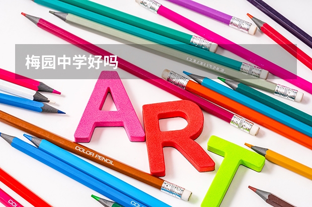 梅园中学好吗