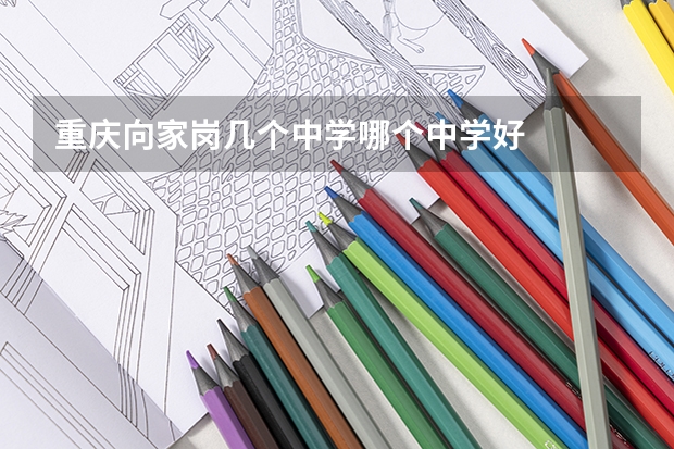 重庆向家岗几个中学哪个中学好