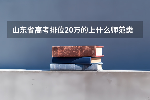 山东省高考排位20万的上什么师范类？