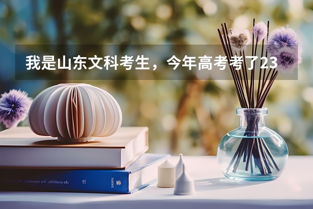 我是山东文科考生，今年高考考了236分，能在威海  烟台  青岛 上什么专科学校啊
