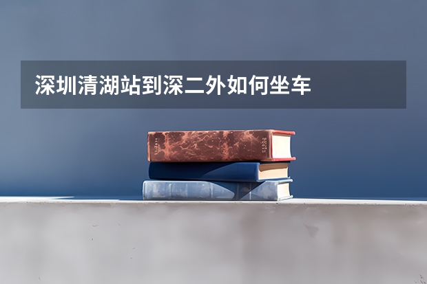深圳清湖站到深二外如何坐车