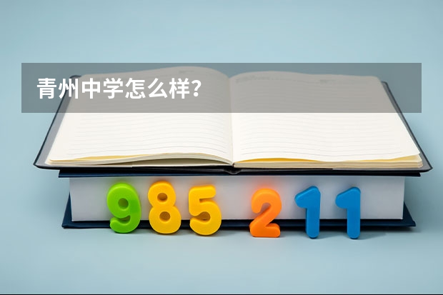 青州中学怎么样？