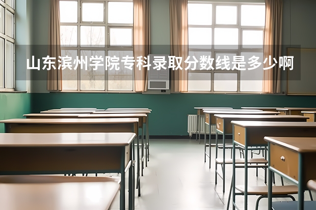山东滨州学院专科录取分数线是多少啊？