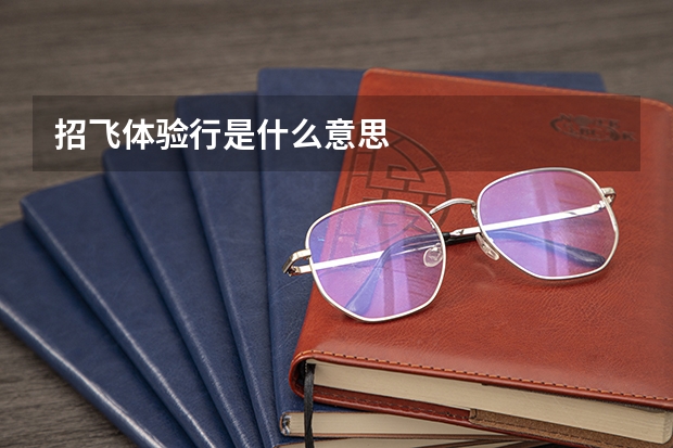 招飞体验行是什么意思