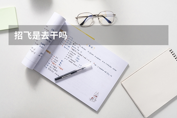 招飞是去干吗