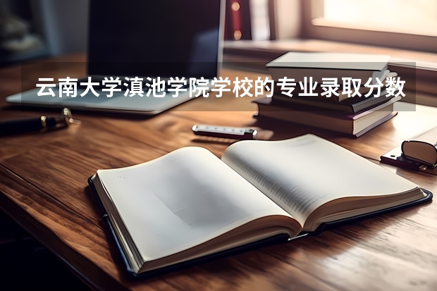 云南大学滇池学院学校的专业录取分数高吗