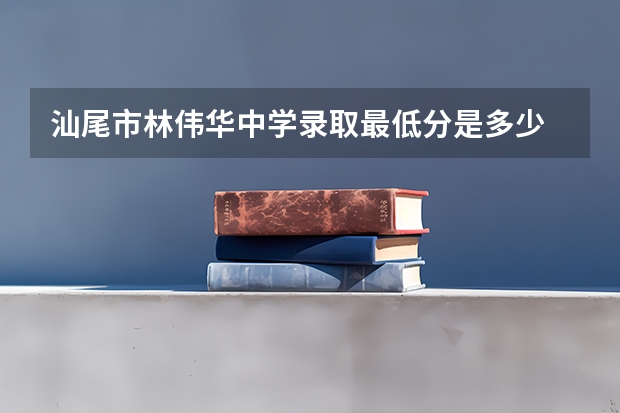 汕尾市林伟华中学录取最低分是多少