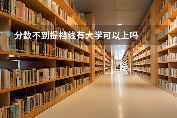 分数不到提档线有大学可以上吗