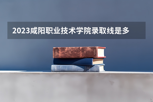 2023咸阳职业技术学院录取线是多少？