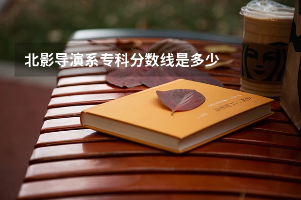 北影导演系专科分数线是多少