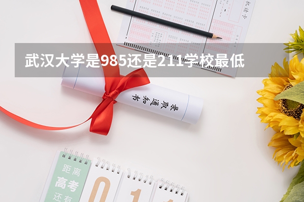 武汉大学是985还是211学校最低分数线是多少