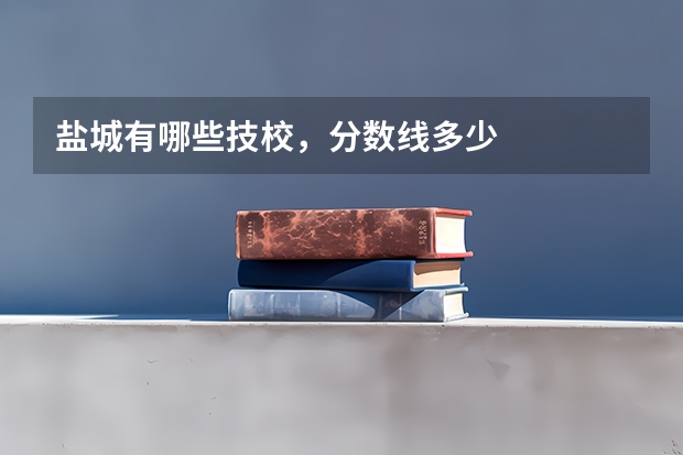 盐城有哪些技校，分数线多少
