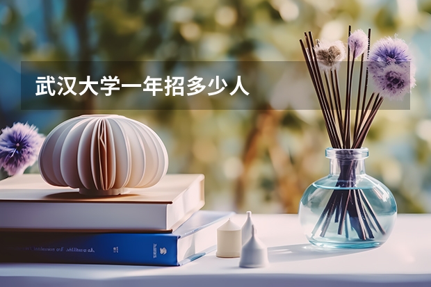 武汉大学一年招多少人