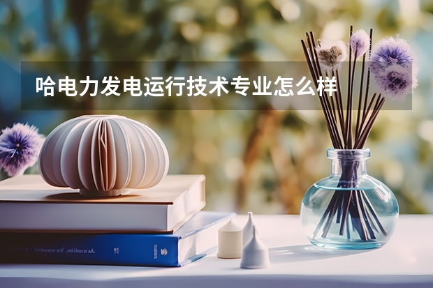 哈电力发电运行技术专业怎么样