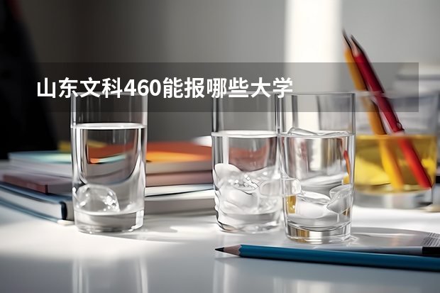 山东文科460能报哪些大学