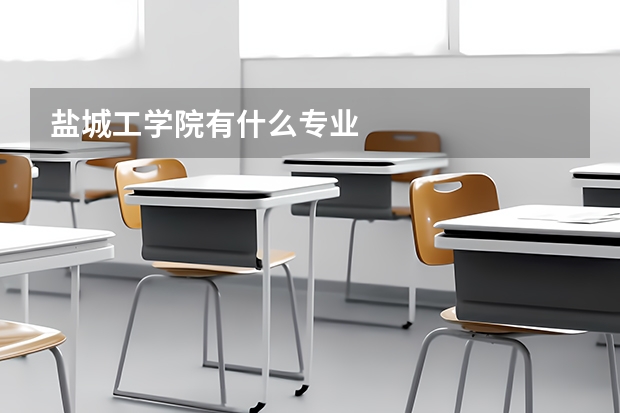 盐城工学院有什么专业