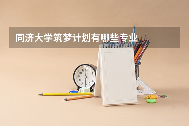 同济大学筑梦计划有哪些专业