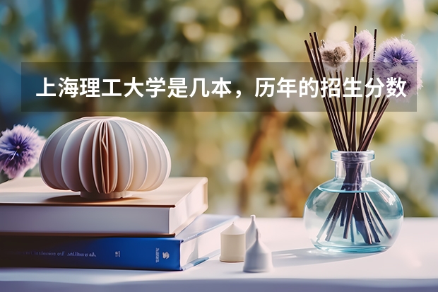 上海理工大学是几本，历年的招生分数线是多少？