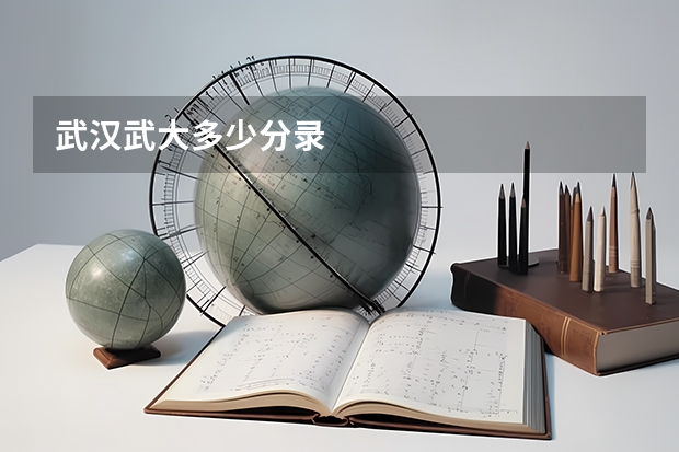 武汉武大多少分录