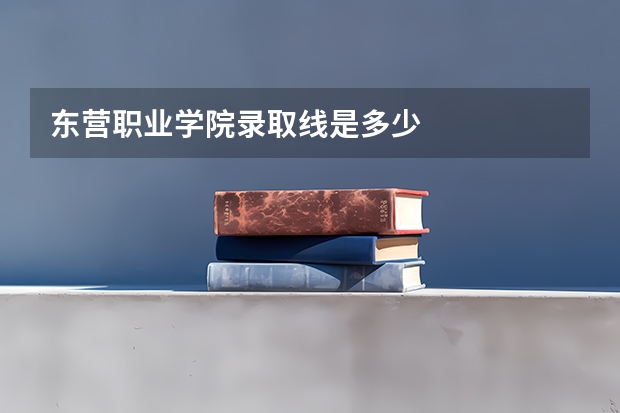 东营职业学院录取线是多少