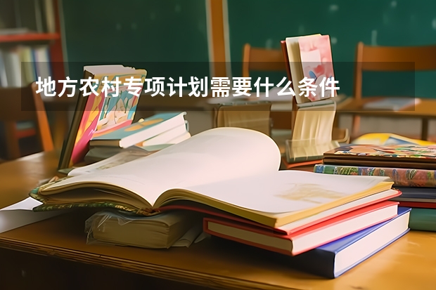 地方农村专项计划需要什么条件