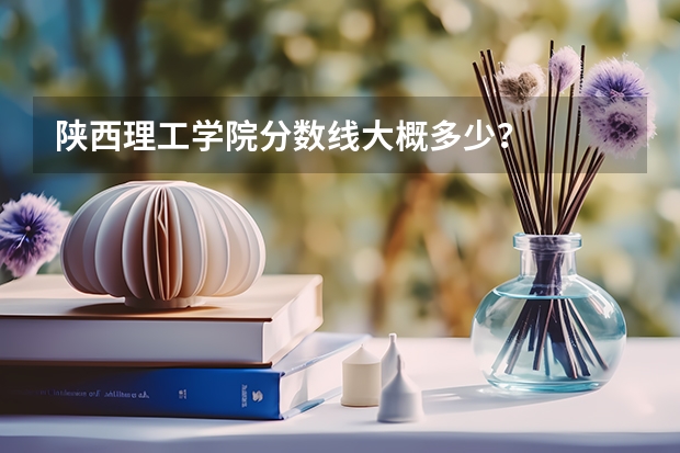 陕西理工学院分数线大概多少？