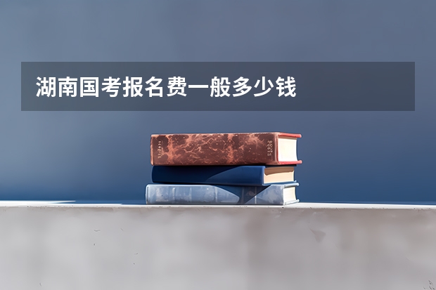 湖南国考报名费一般多少钱