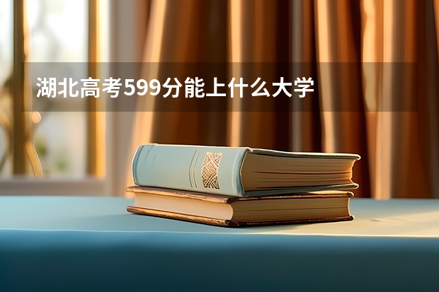 湖北高考599分能上什么大学