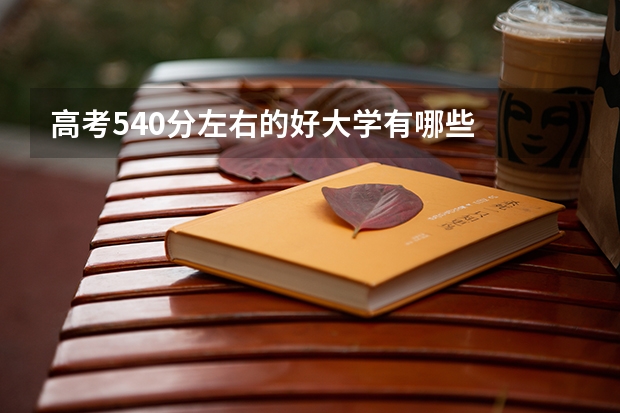 高考540分左右的好大学有哪些