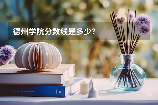 德州学院分数线是多少？