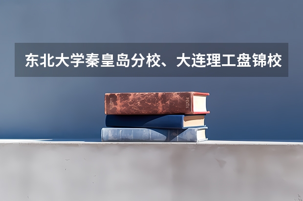 东北大学秦皇岛分校、大连理工盘锦校区和中国矿业大学（徐州）哪个比较好？