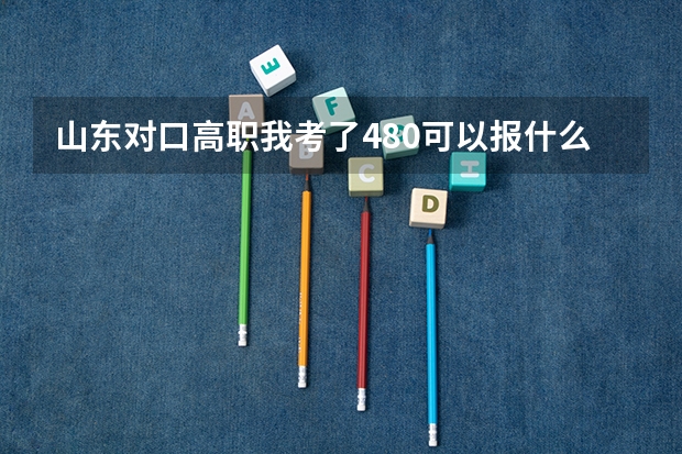 山东对口高职我考了480可以报什么学校(急急)
