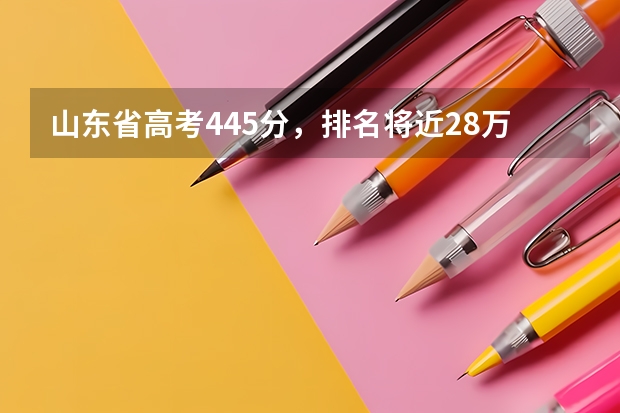 山东省高考445分，排名将近28万可以报考什么学校？