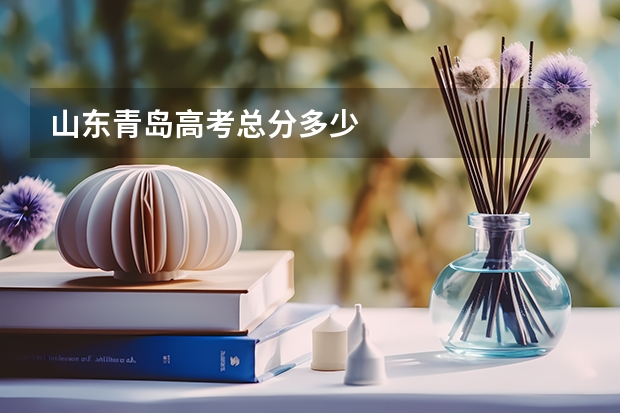 山东青岛高考总分多少