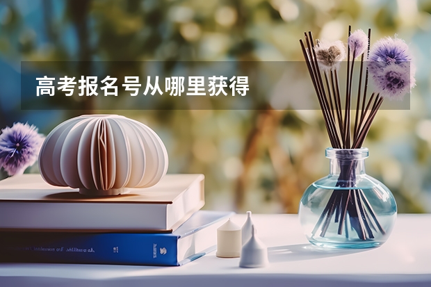高考报名号从哪里获得