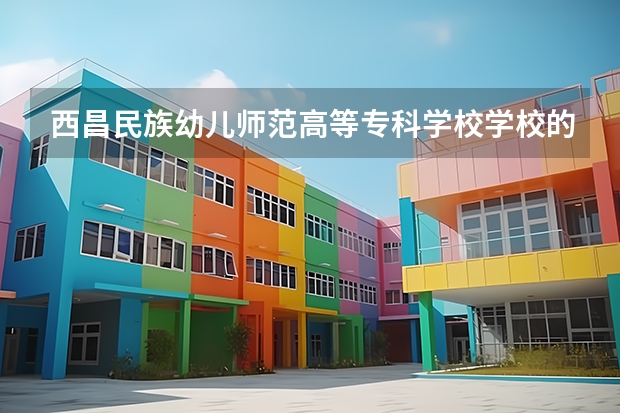 西昌民族幼儿师范高等专科学校学校的专业录取分数高吗