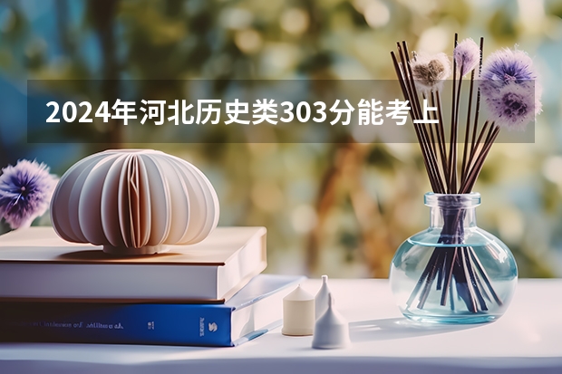 2024年河北历史类303分能考上什么大学？