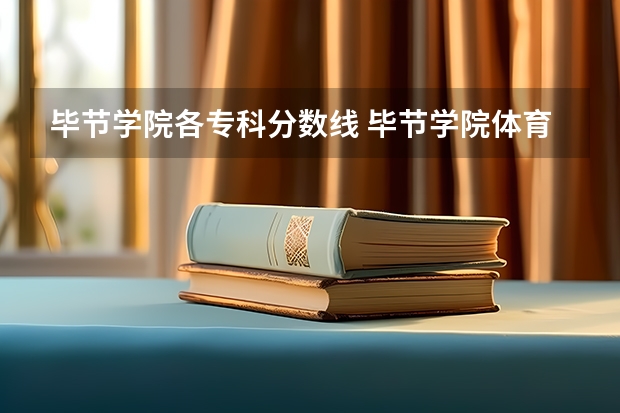 毕节学院各专科分数线 毕节学院体育生录取分数线