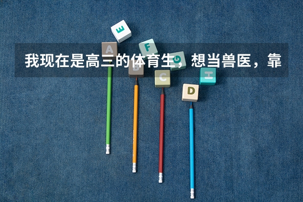 我现在是高三的体育生，想当兽医，靠谱吗？
