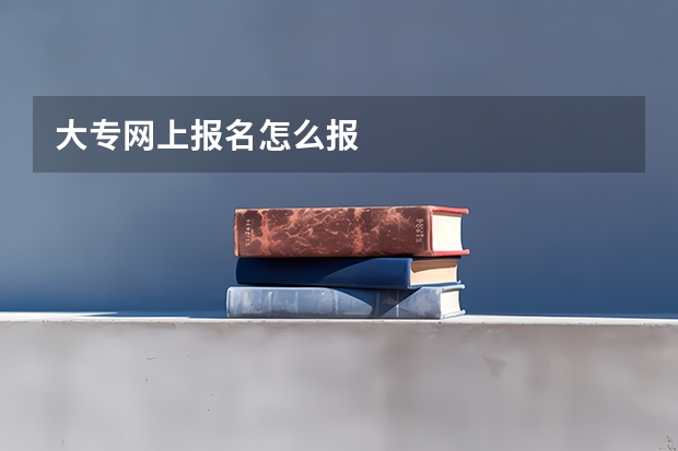 大专网上报名怎么报