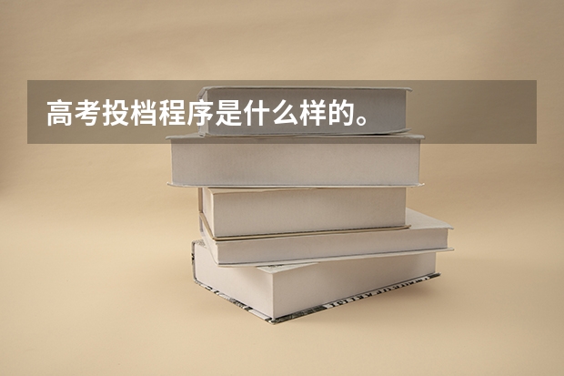 高考投档程序是什么样的。