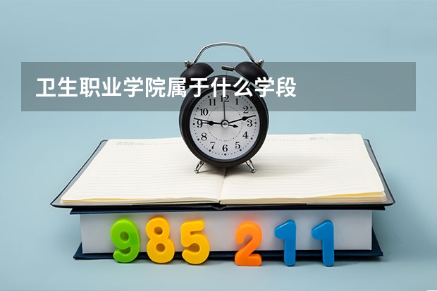 卫生职业学院属于什么学段