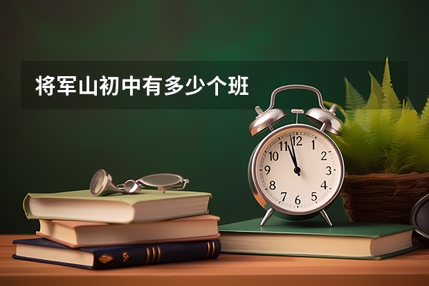 将军山初中有多少个班