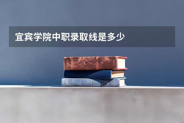 宜宾学院中职录取线是多少