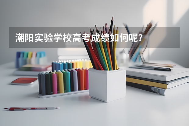 潮阳实验学校高考成绩如何呢？
