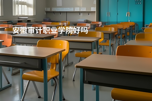 安徽审计职业学院好吗