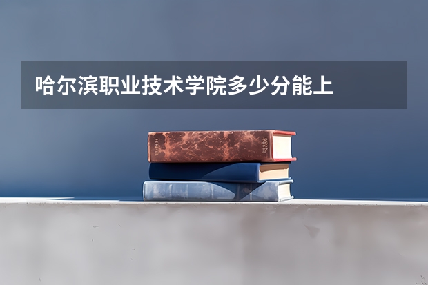 哈尔滨职业技术学院多少分能上
