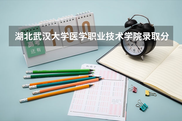 湖北武汉大学医学职业技术学院录取分数线是多少